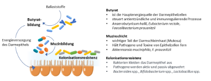 Bild von Molekular-genetisches Mikrobiotaprofil (PCR)